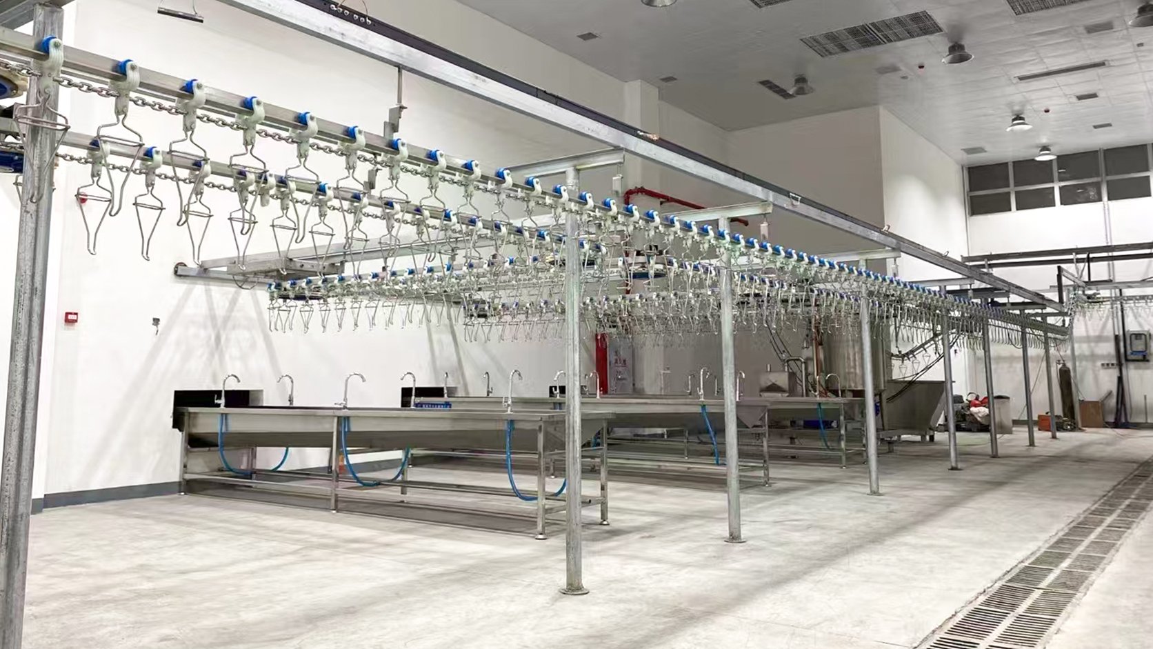 Henger Technology poultry slaughter equipment and chicken processing line installed in Venezuela 5000 birds per day plant workshop real shot