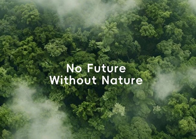 What Is Microfiber Material? Properties, Uses & Benefits