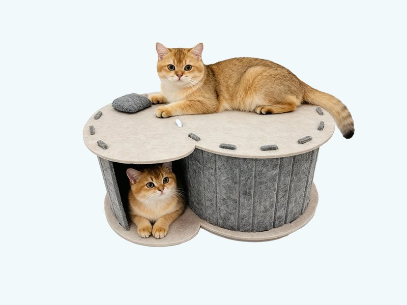 Creative Snail Cat Cave, Durable Felt Pet House