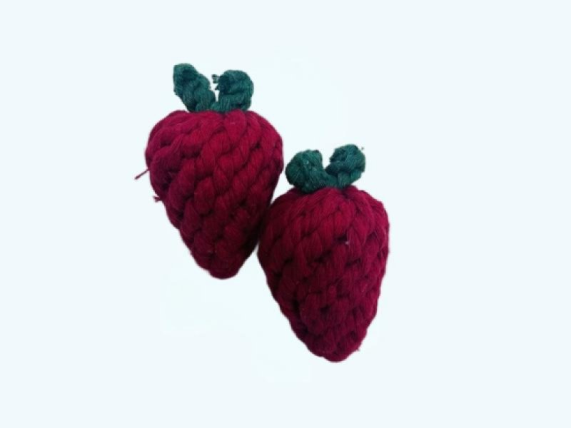 Handmade Cotton Rope Strawberry Dog Toy