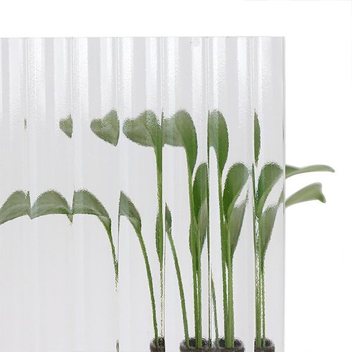 Moru Glass