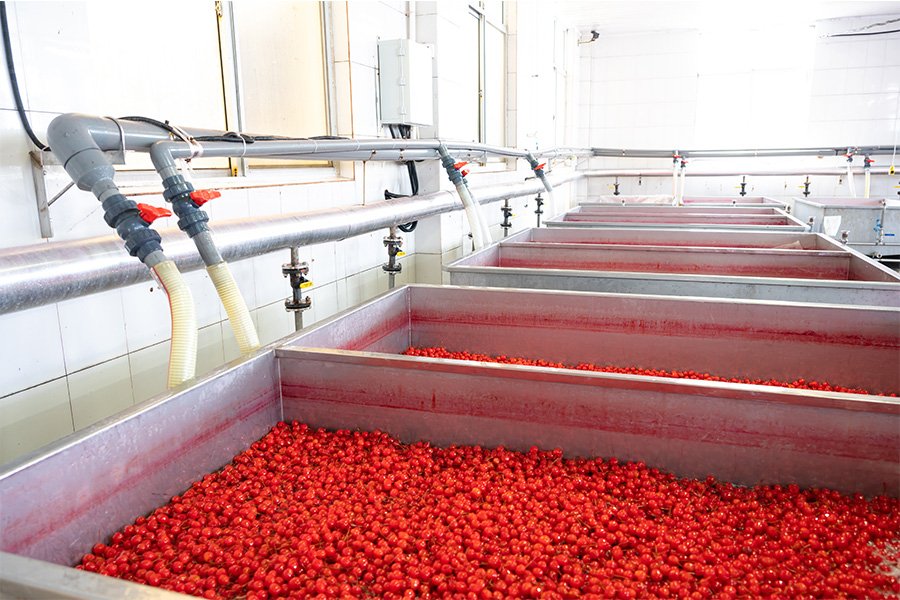 Dessulfurização e tingimento de cerejas
