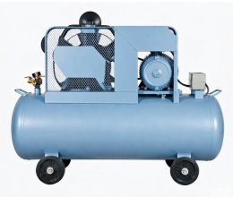 Belt-driven oil-free compressor