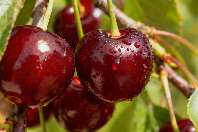 Rigid Styles Tailored to Every Situation