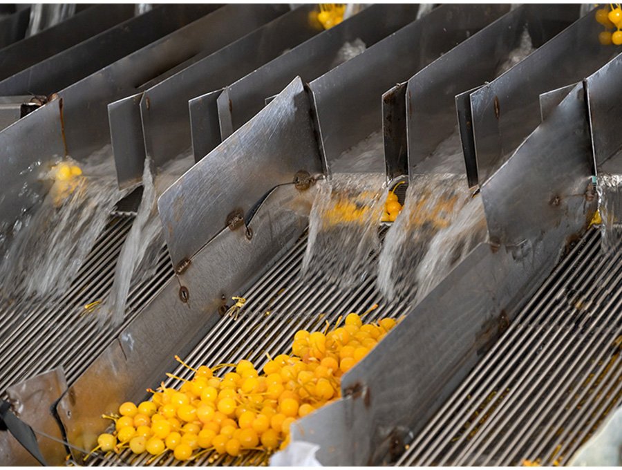 Cherry grader