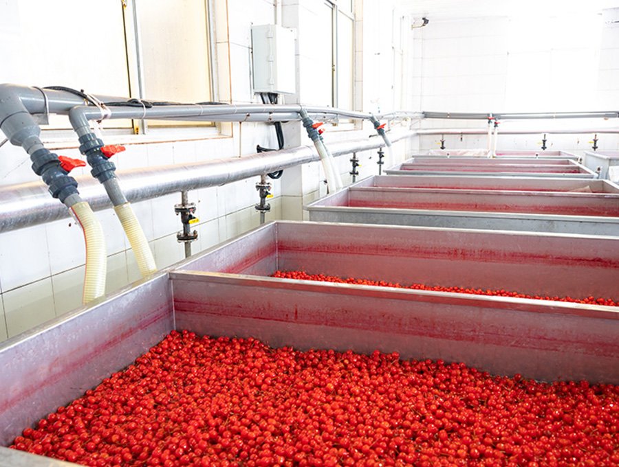 Cherries desulfurization and dyeing