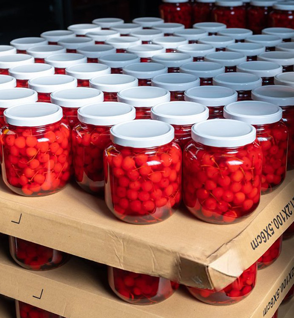 未标题-3_0001_图层 1