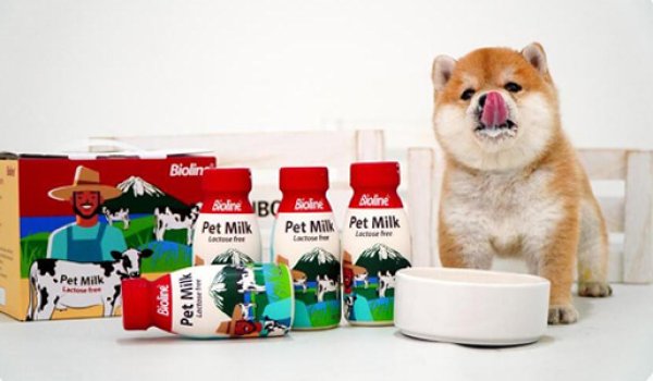 Pet Nutrition Meal