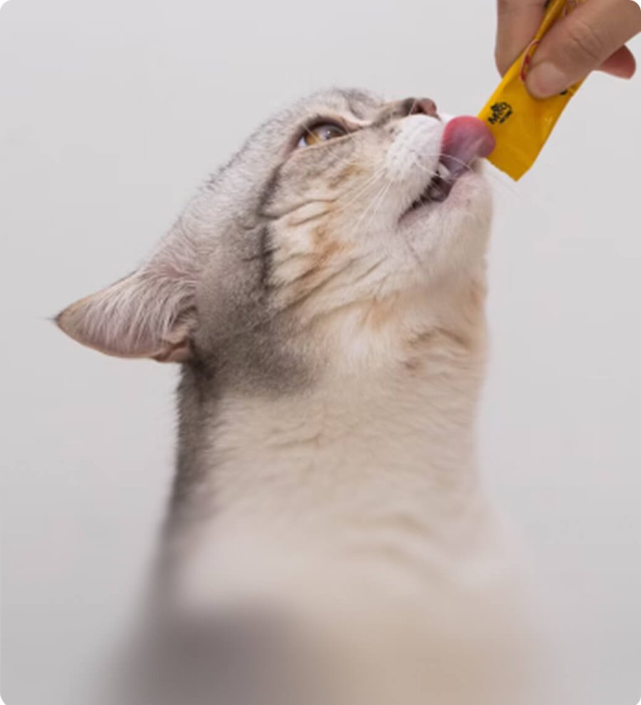 SCIENTIFIC PRECISION, PET NUTRITION