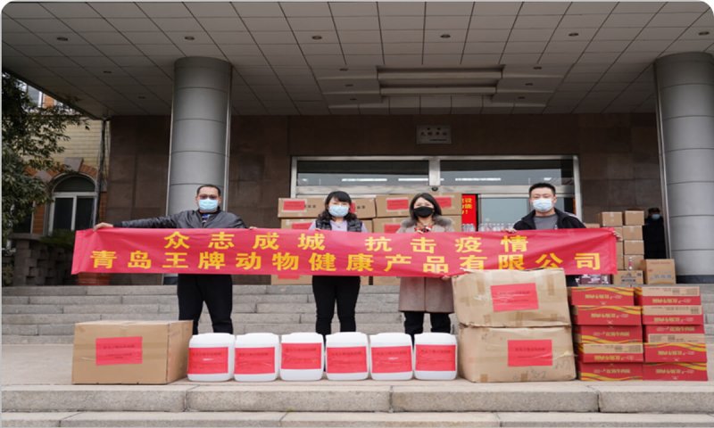 During the COVID-19 pandemic, ACE PET Group, proactively responded to the call 