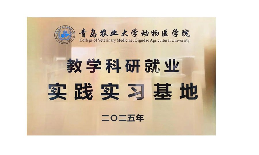 The "Teaching, Research, Employment and Practice Base" has been officially put into use.