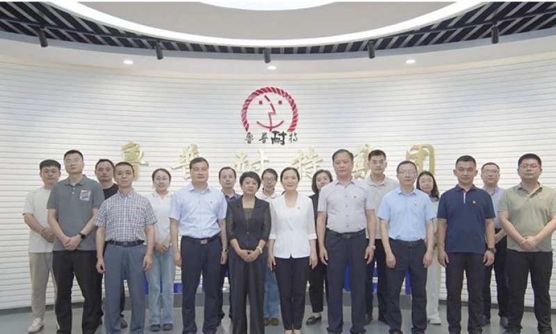 Rope News: Yan Guohong, Director of the Comprehensive Department of the National Defense Mobilization Office of Shandong Province, and his team conducted a research visit to the Ropenet Group