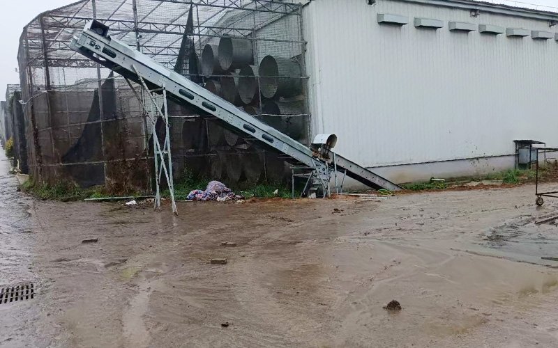 Successful Deployment of the Automated Renovation Project for a Jordanian Sheep Farm