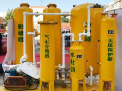 Flexible skid system for distributed projects