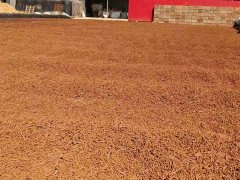 Iron oxide desulfurizer