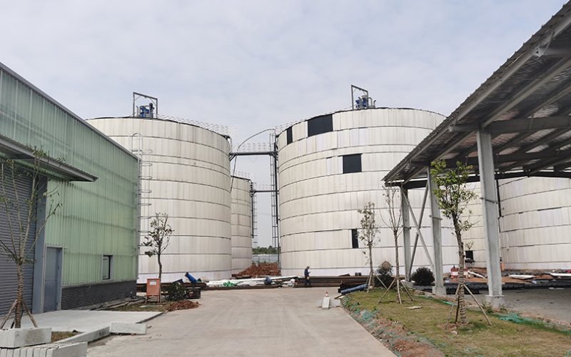 Biogas Plant Cost: A Complete Guide to Equipment and Installation Costs