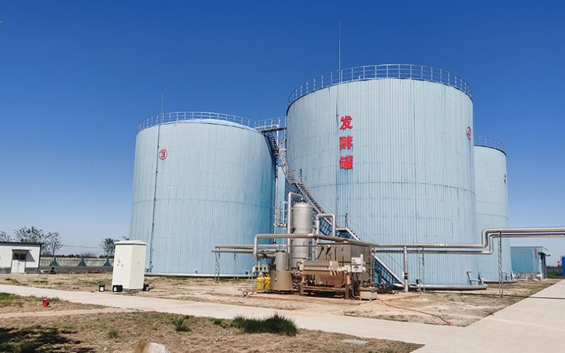 Biogas Digester Cost: What Determines the Price of an Anaerobic Digester?