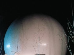 Biogas plant for cattle manure