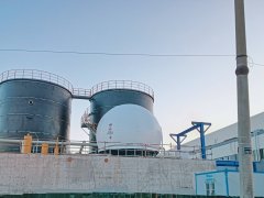 Biogas Desulfurization
