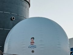 Biogas Digester