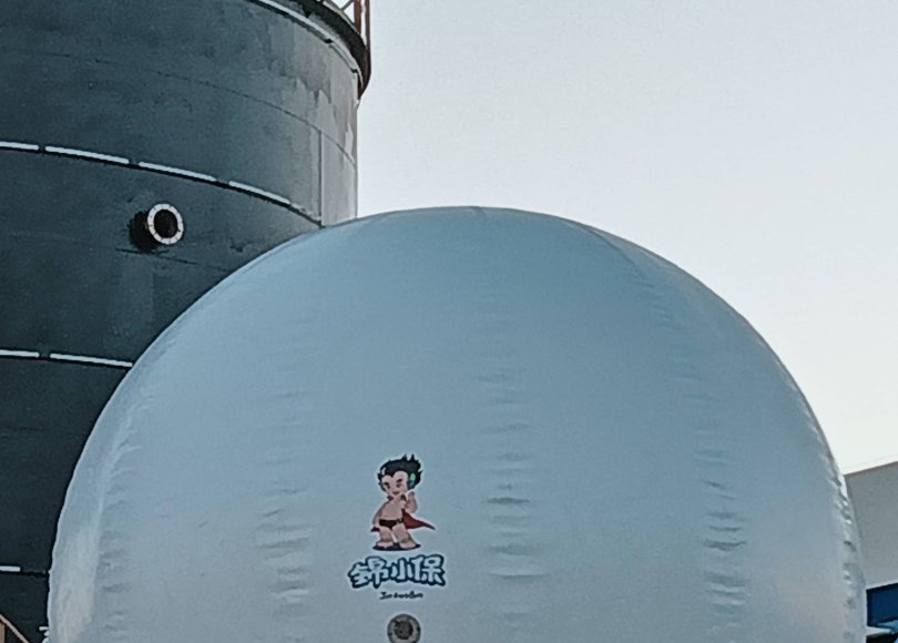 Biogas Digester