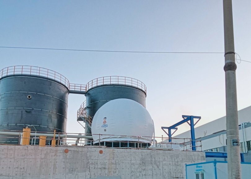 Biogas Desulfurization