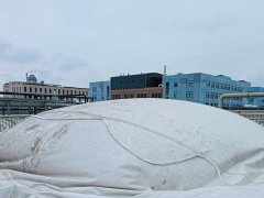 Biogas scrubber