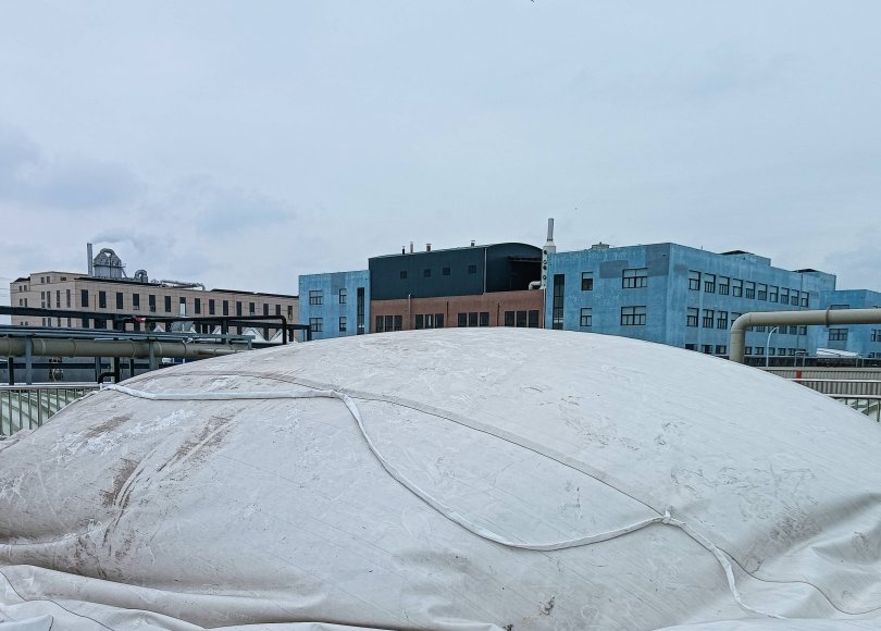 Biogas scrubber