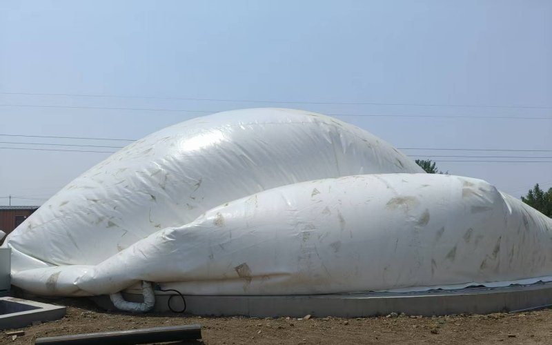What Is Biogas Equipment? A Complete Guide to Biogas Plant Equipment