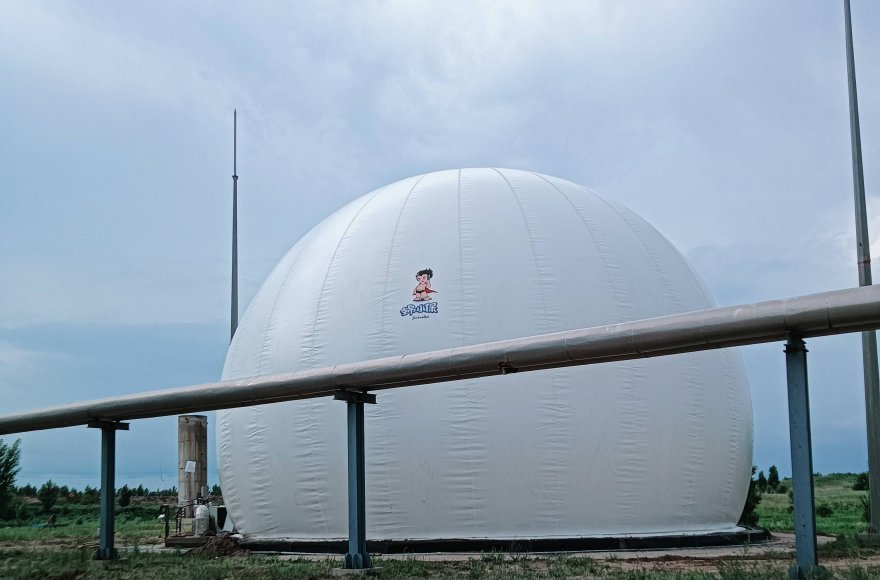 Biogas Storage and Desulfurization System for a Livestock Farm in Africa