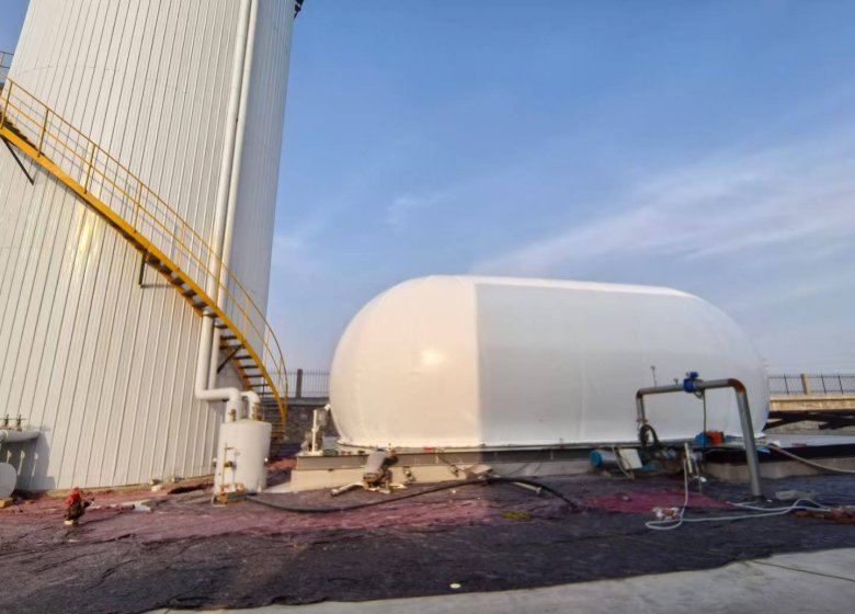 Biogas Storage and Desulfurization System for a Livestock Farm in Africa