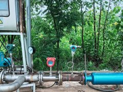 Biogas Storage and Purification System