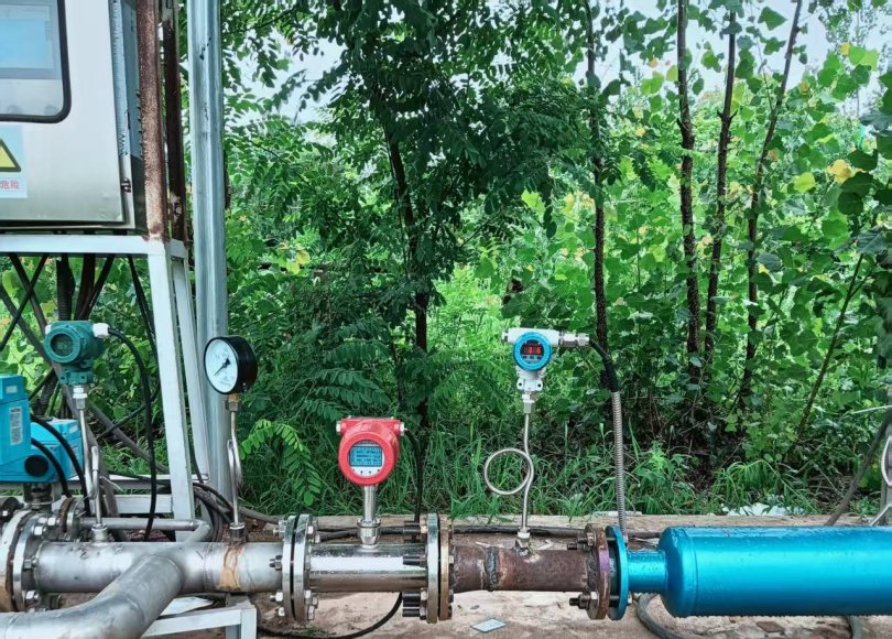 Biogas Storage and Purification System