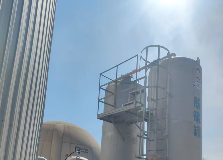 Biogas Desulfurization Tower