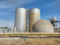Biogas H2S Removal