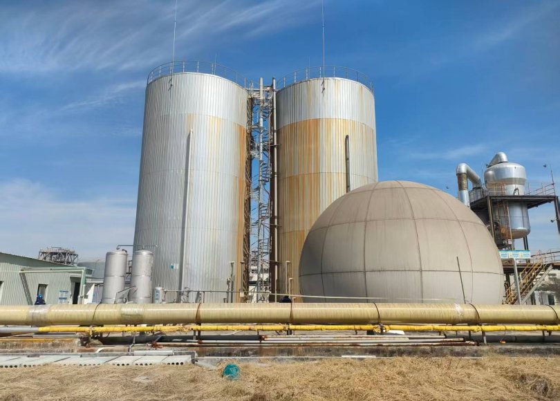 Biogas H2S Removal