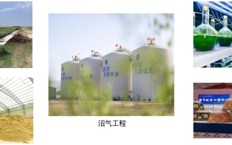 Case Study 7: Innovative Applications for High-Value Utilization of Biogas and Biomethane | Comprehensive and Coordinated Utilization Across the Entire Biogas Industry Chain