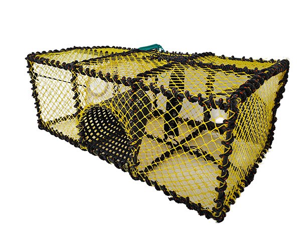 Lobster/Shrimp trap