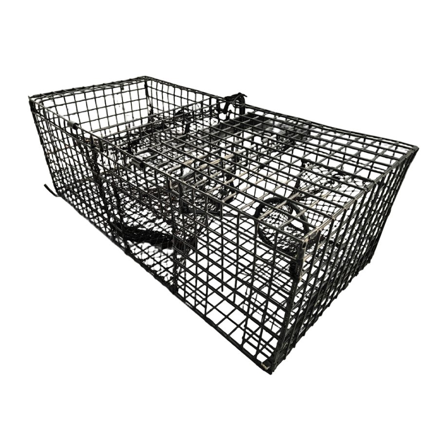 Wire lobster trap canada fishing