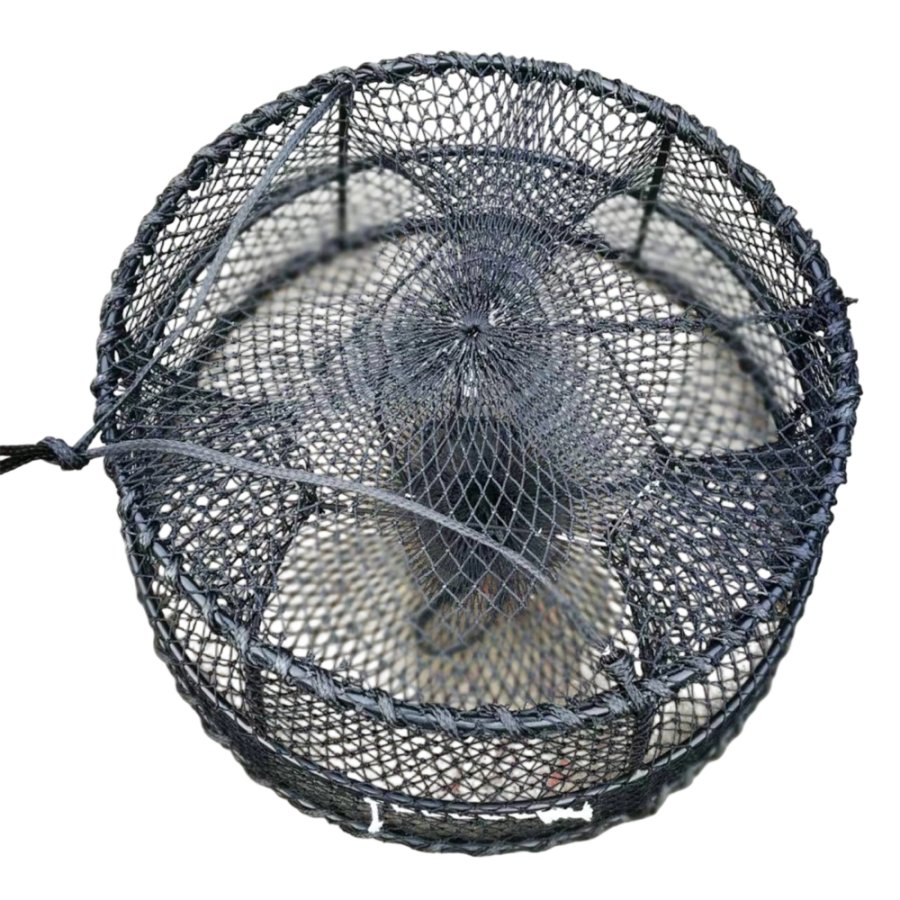 Crab trap & pot