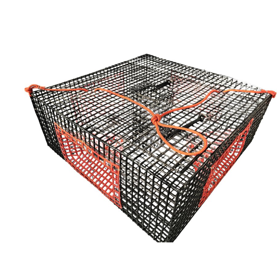 Lobster prawn shrimp trap 