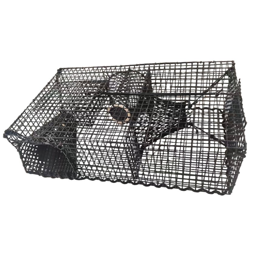 Wire lobster shrimp prawn trap canada fishing
