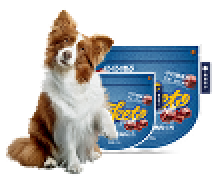 Portable Small Pocket