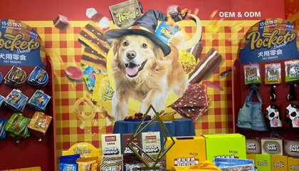 From China to the World: Our Unforgettable Debut at CIPS 2025