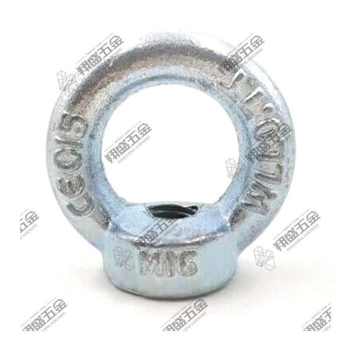 DIN582 Drop Forged Eye Nut