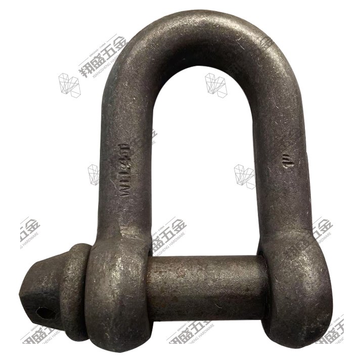 bs3032 shackle for cargo securing