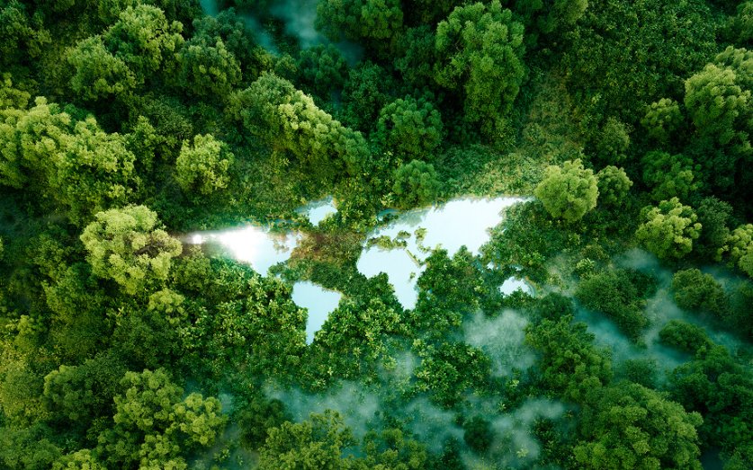 Environmental Philosophy
