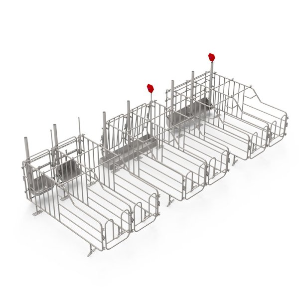 Gestation Stall-G1 | Premium Sow Management | Farmjoy Pig Equipment