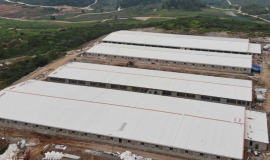 Indonesia Pig Farm | Farmjoy Global Reference Project