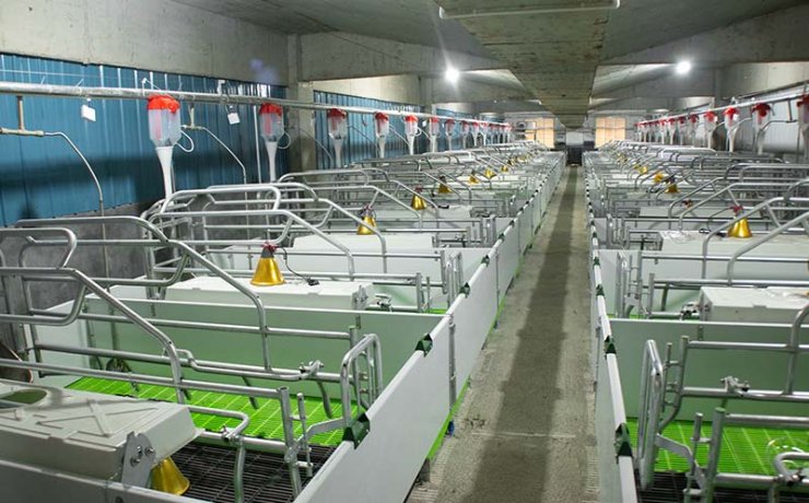 Farrowing